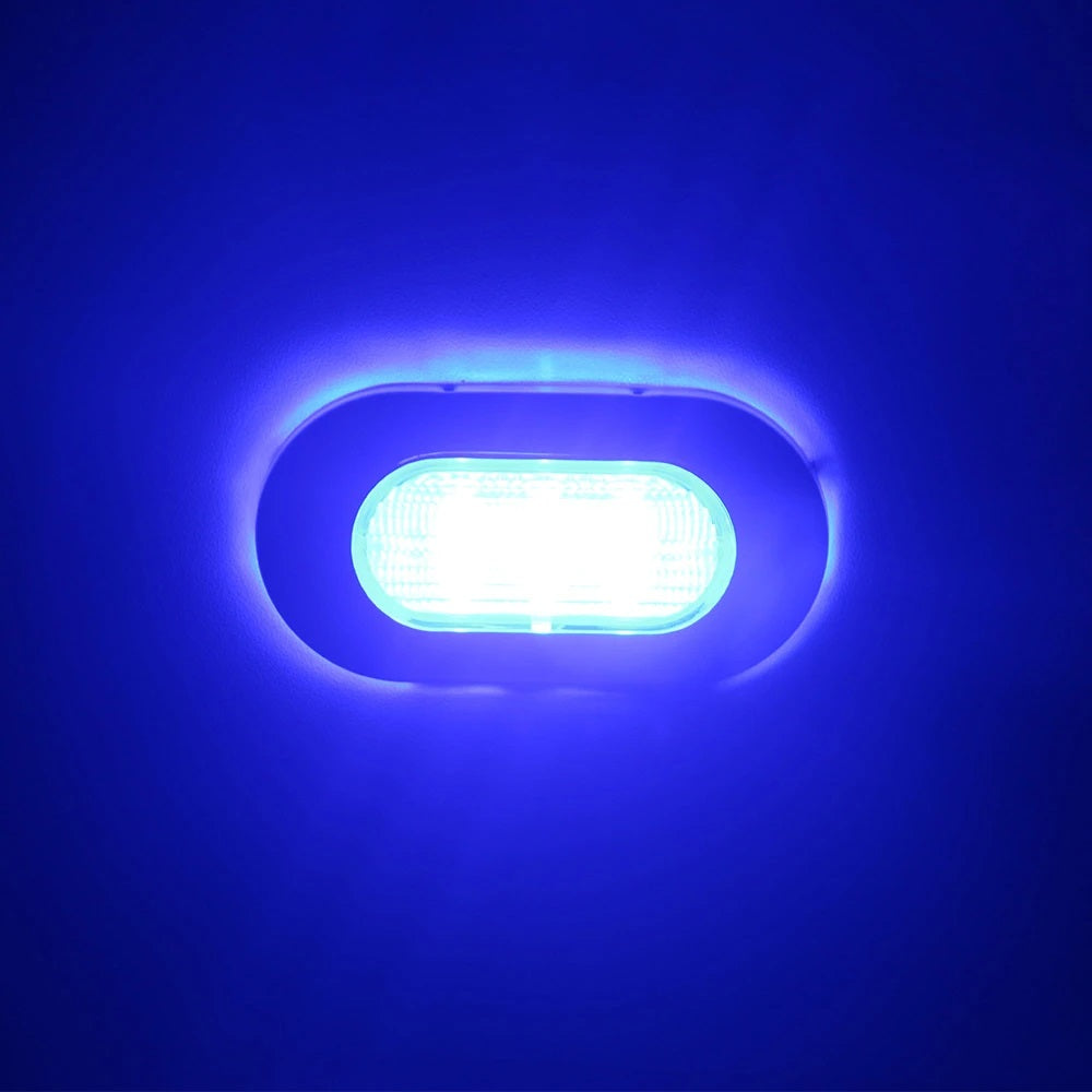 Led Courtesy Light Blue