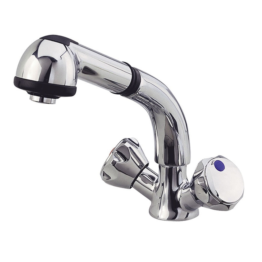 Tap Mixer with Shower Head