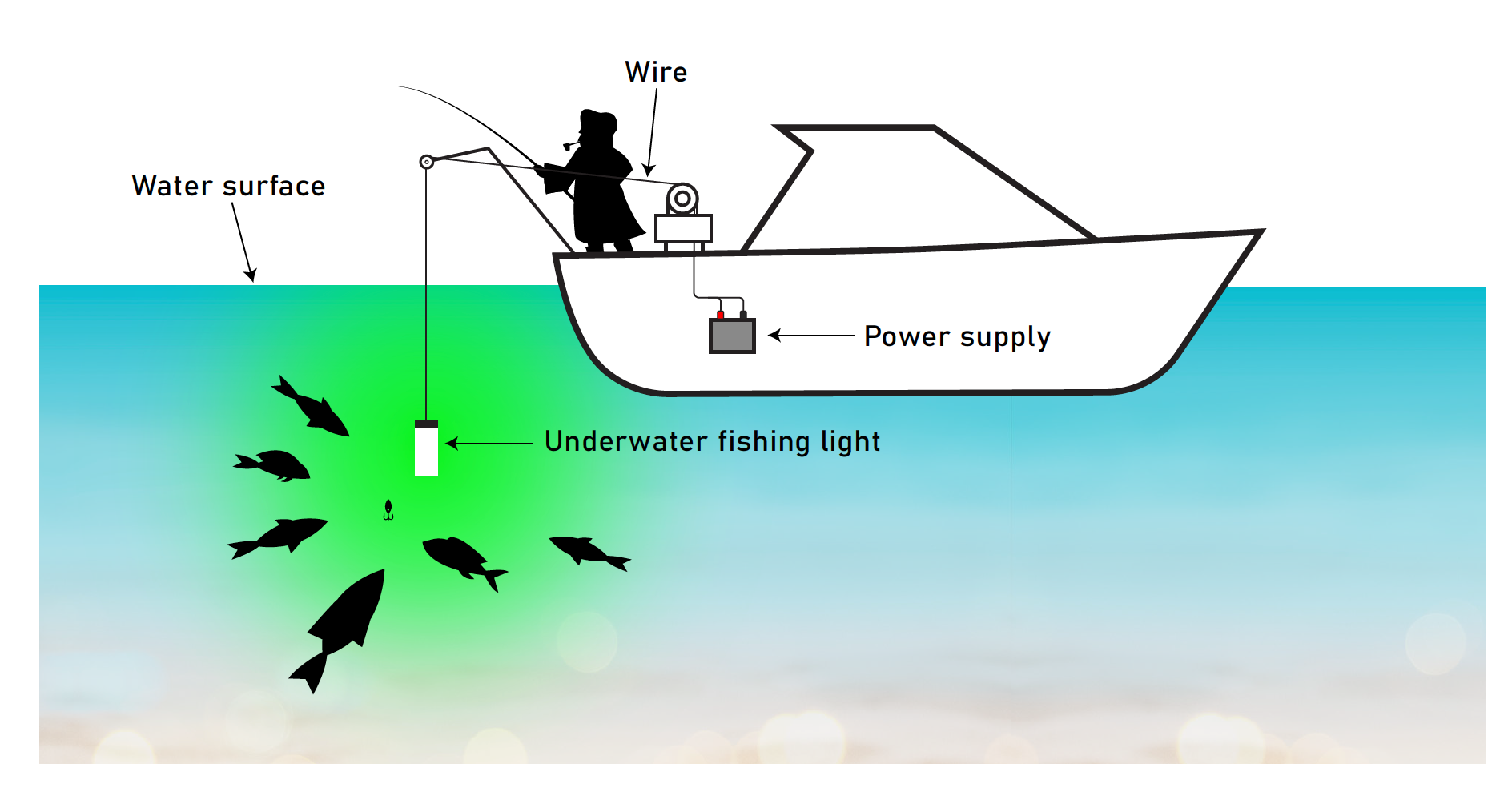 Underwater Fishing Light Green