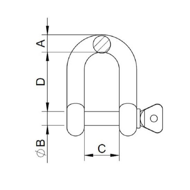 European Type Large D Shackle