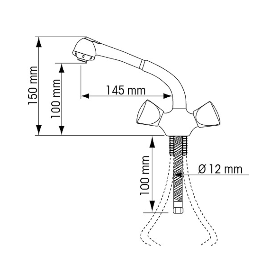 Tap Mixer with Shower Head