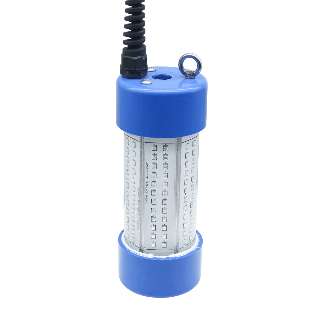 Underwater Fishing Light Green